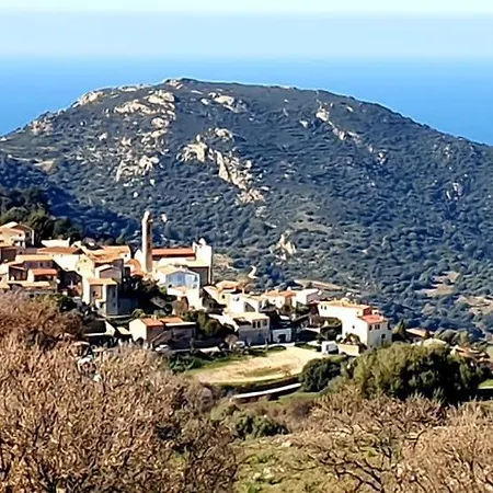 Au Coeur De